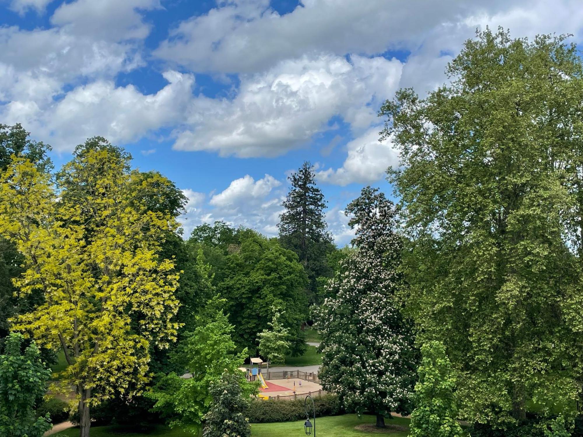 Le Joyau Des Parcs Classe 4 Etoiles Appartement Central Au Calme Avec Terrasse Vichy Eksteriør billede